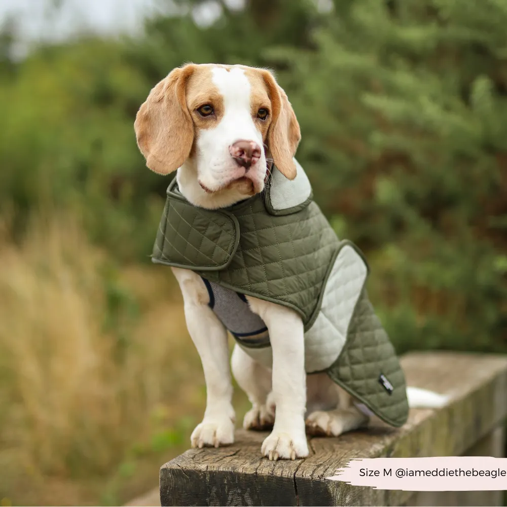 LUXE Quilted Dog Coat - Country Khaki